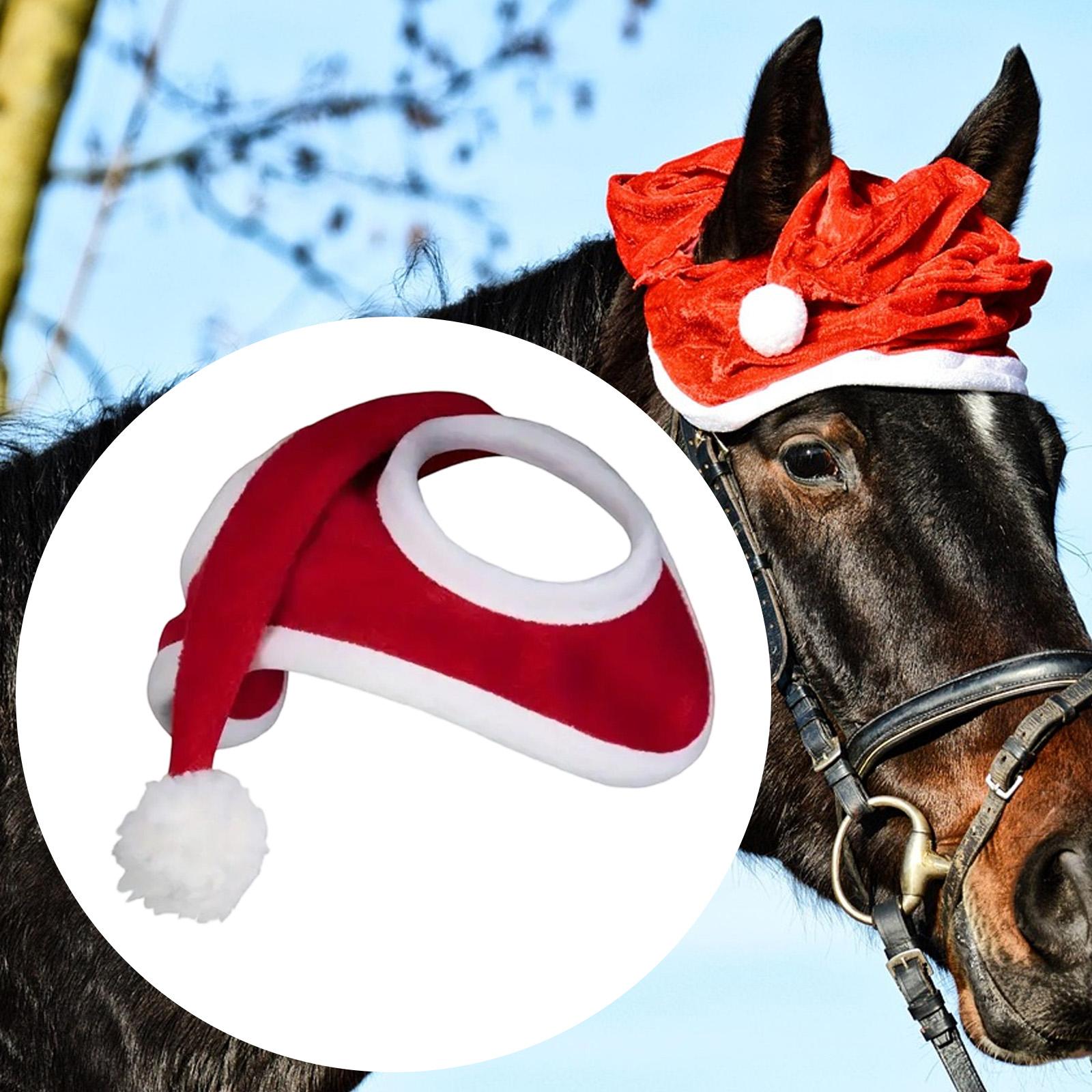 Grooming Kit Horse - قبعة حصان عيد الميلاد، فستان، صورة