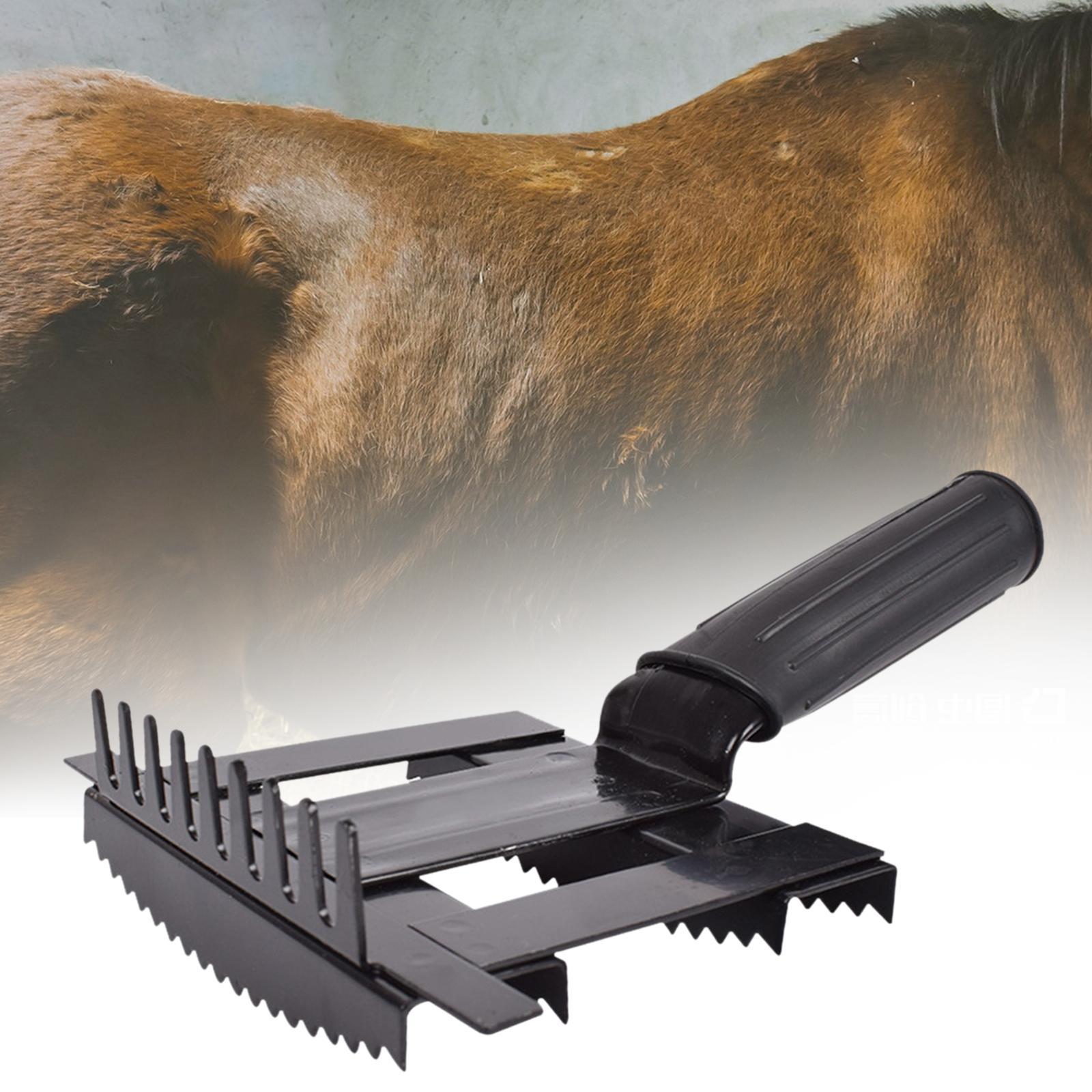 Grooming Kit Horse - مشط تساقط الماشية، فرشاة شعر الثور