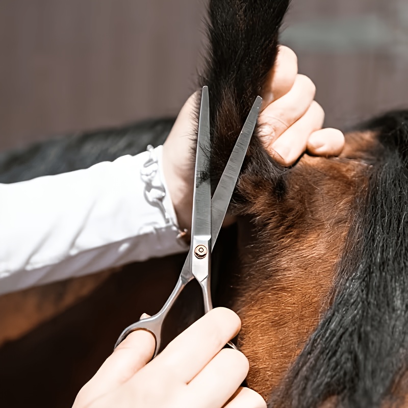Grooming Kit Horse - مجموعة أدوات تنظيف الخيول من الفولاذ
