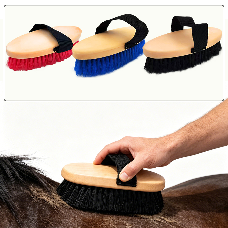 Grooming Kit Horse - فرشاة تنظيف الخيول البيضاوية مع حزام