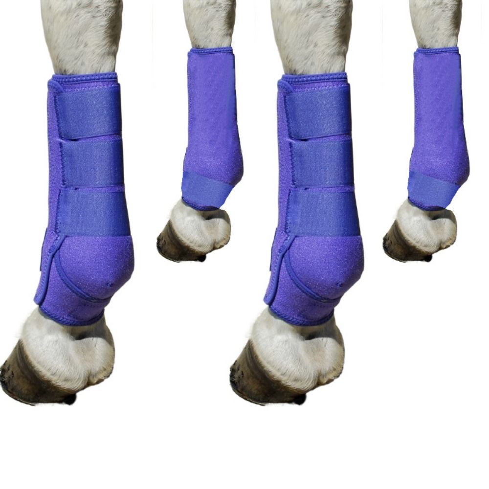 Brushing Boot Horse - مجموعة من 4 قطع أحذية رياضية