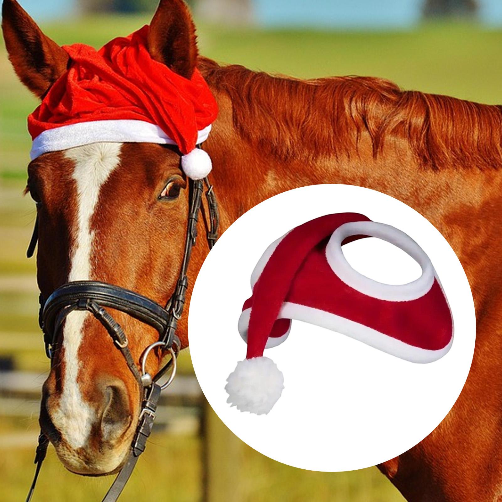 قبعة حصان عيد الميلاد، فستان،  - مراجعة Grooming Kit Horse وسعره