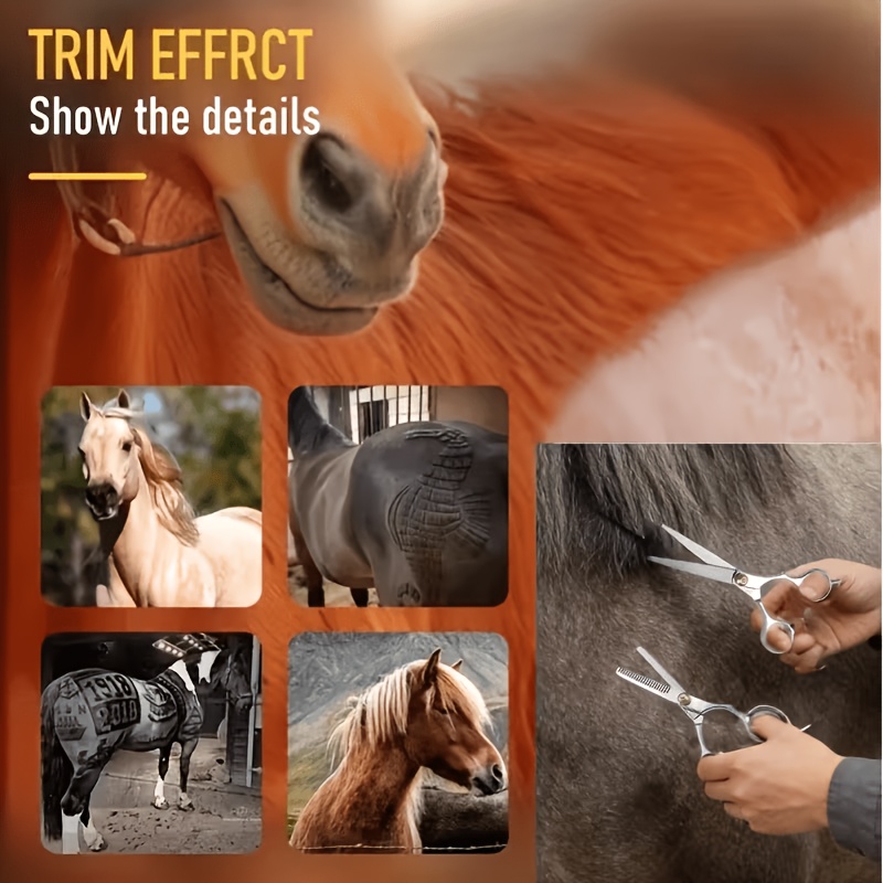 مجموعة أدوات تنظيف الخيول من ا - مراجعة Grooming Kit Horse وسعره