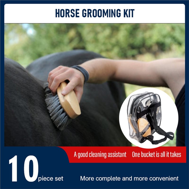 【عرض خاص】مجموعة أدوات العناية  - مراجعة Grooming Kit Horse وسعره