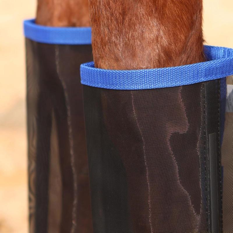 31BE حذاء يطير الحصان واقي ساق - مراجعة Brushing Boot Horse وسعره