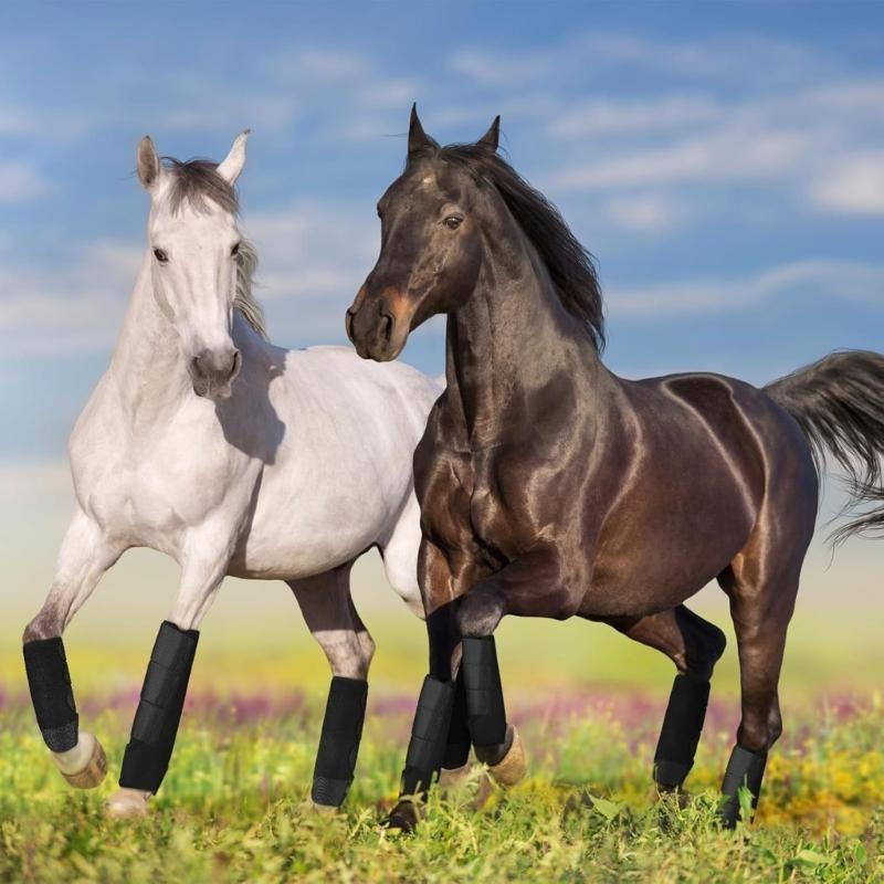 R6FFE Frushing Horse Boot قابل - مراجعة Brushing Boot Horse وسعره