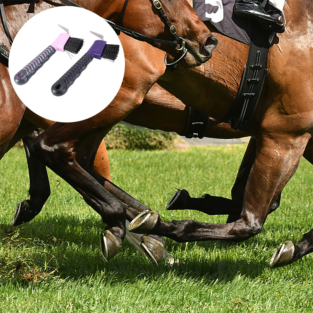 فرشاة تنظيف حوافر الخيل (قطعتا - مراجعة Brushing Boot Horse وسعره