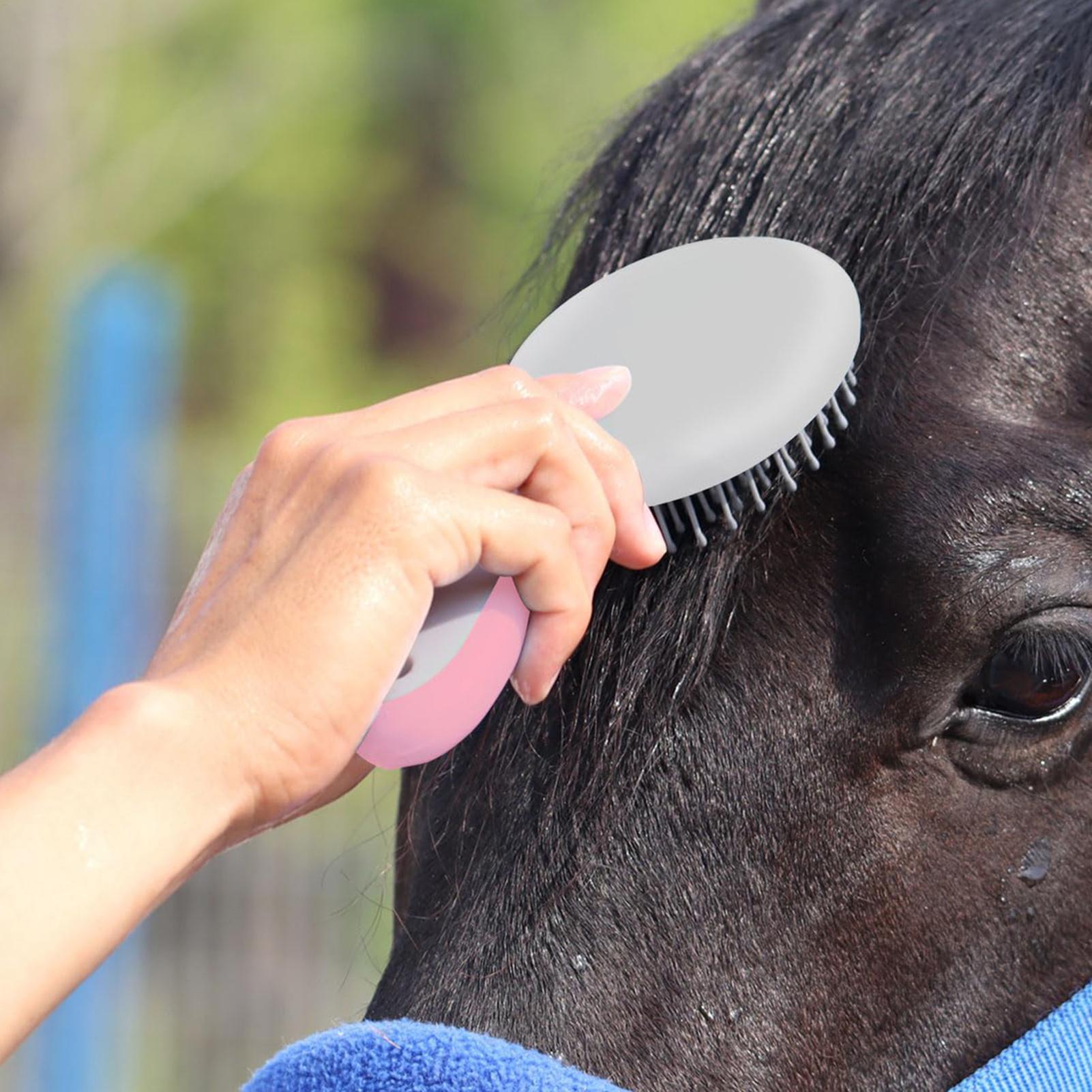 مشط لتمشيط شعر ذيل وعرف الخيل، - مراجعة Grooming Kit Horse وسعره