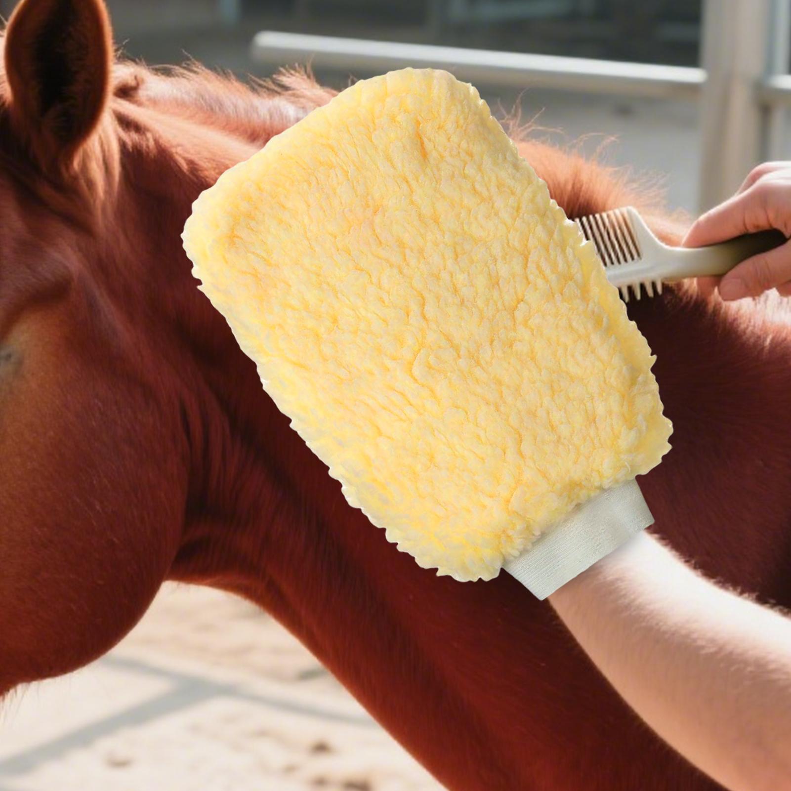 قفاز قضيب القراد للخيول، قفاز  - مراجعة Grooming Kit Horse وسعره