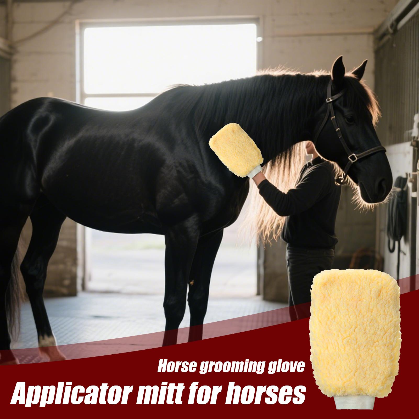 قفاز قضيب القراد للخيول، قفاز  - مراجعة Grooming Kit Horse وسعره