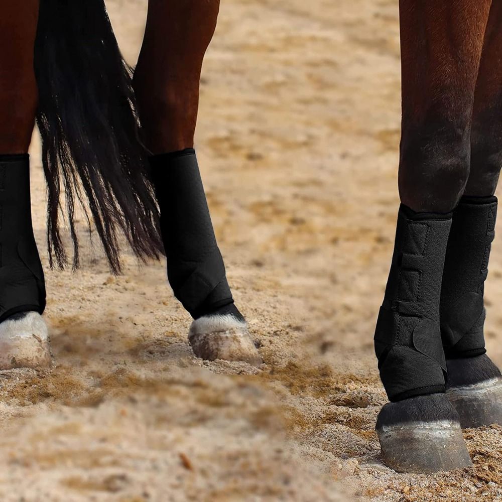 4 قطعة/المجموعة الملونة الحصان - مراجعة Brushing Boot Horse وسعره
