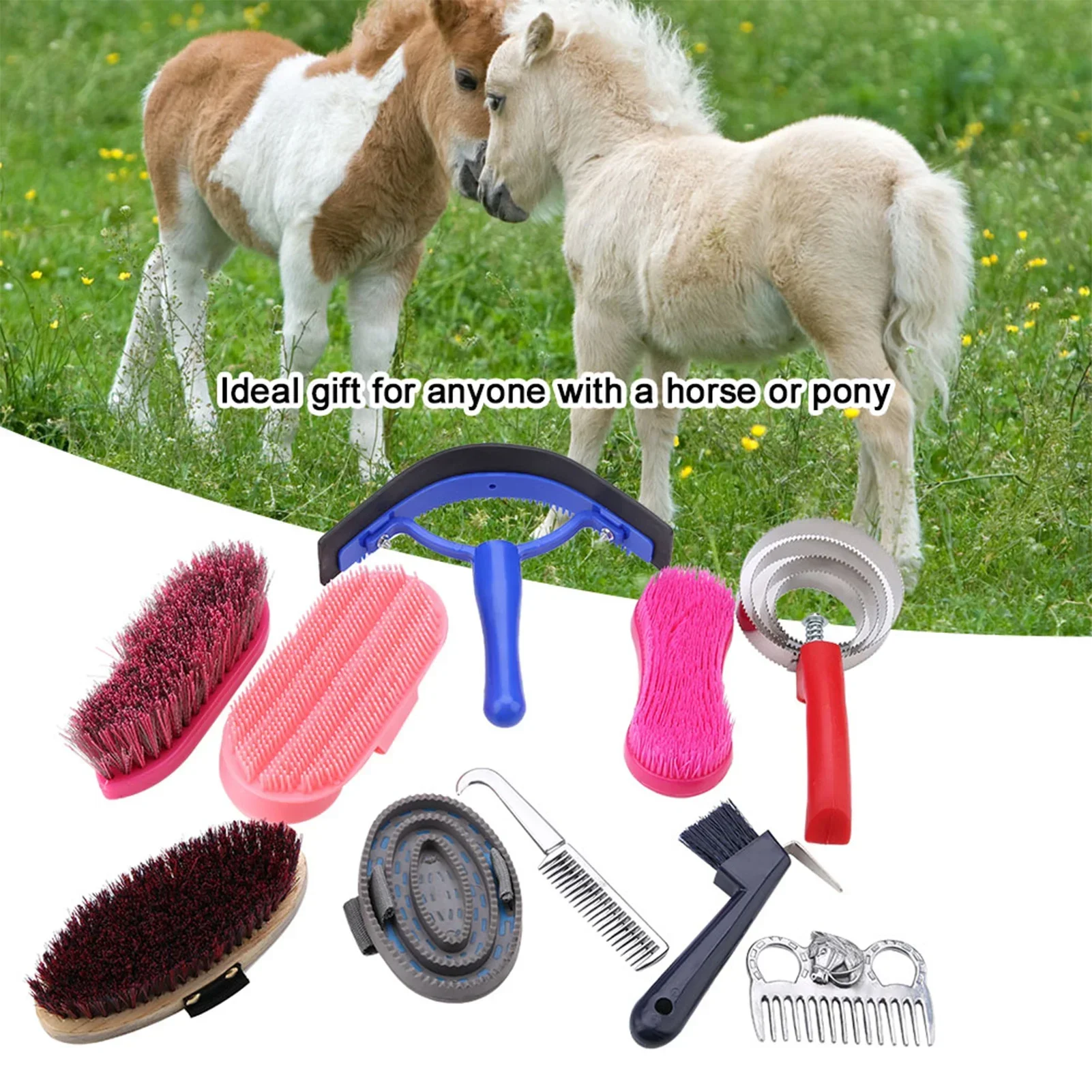 10 قطع من أدوات العناية بالحصا - مراجعة Grooming Kit Horse وسعره