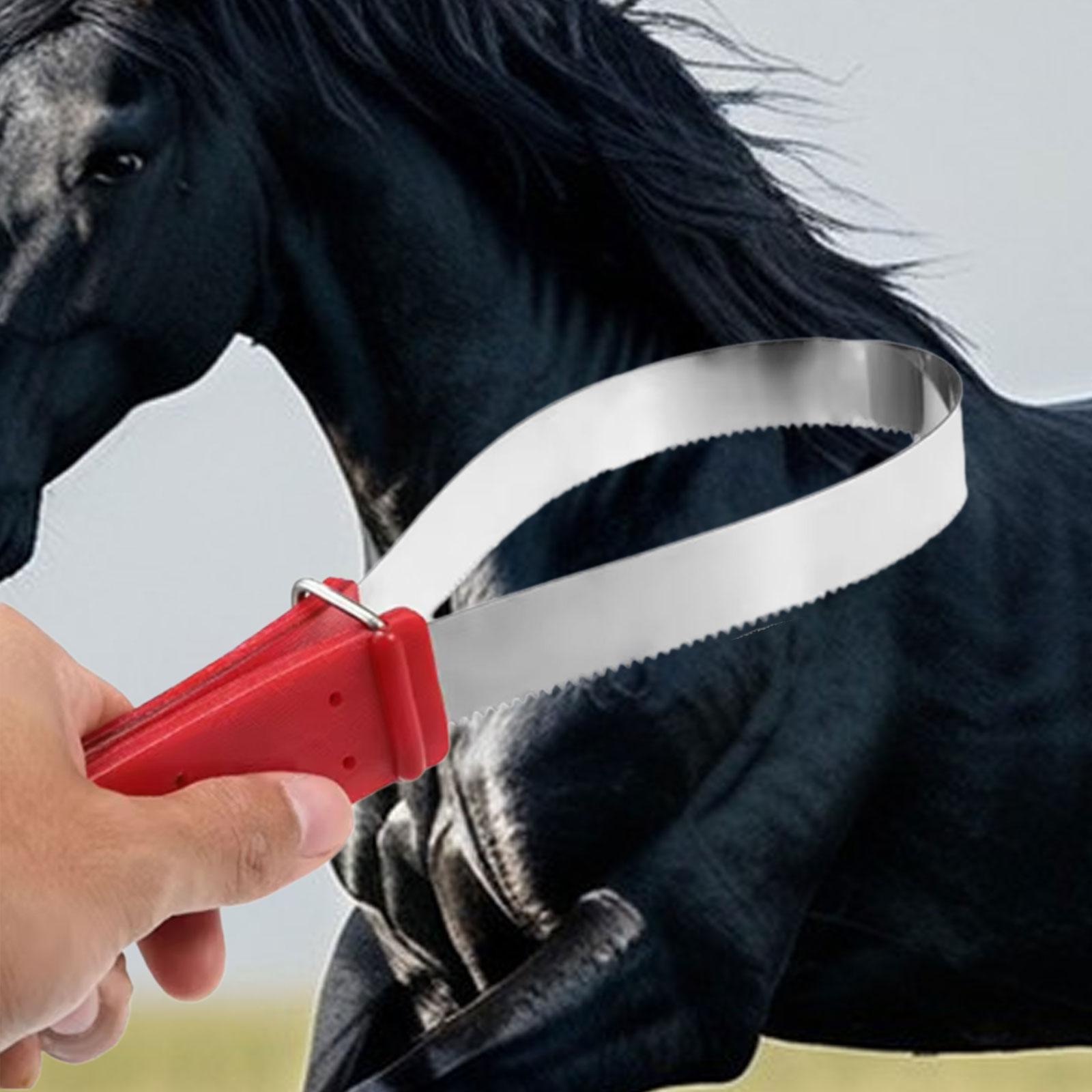 مشط عملي لتنظيف شعر الخيل ذو و - مراجعة Grooming Kit Horse وسعره