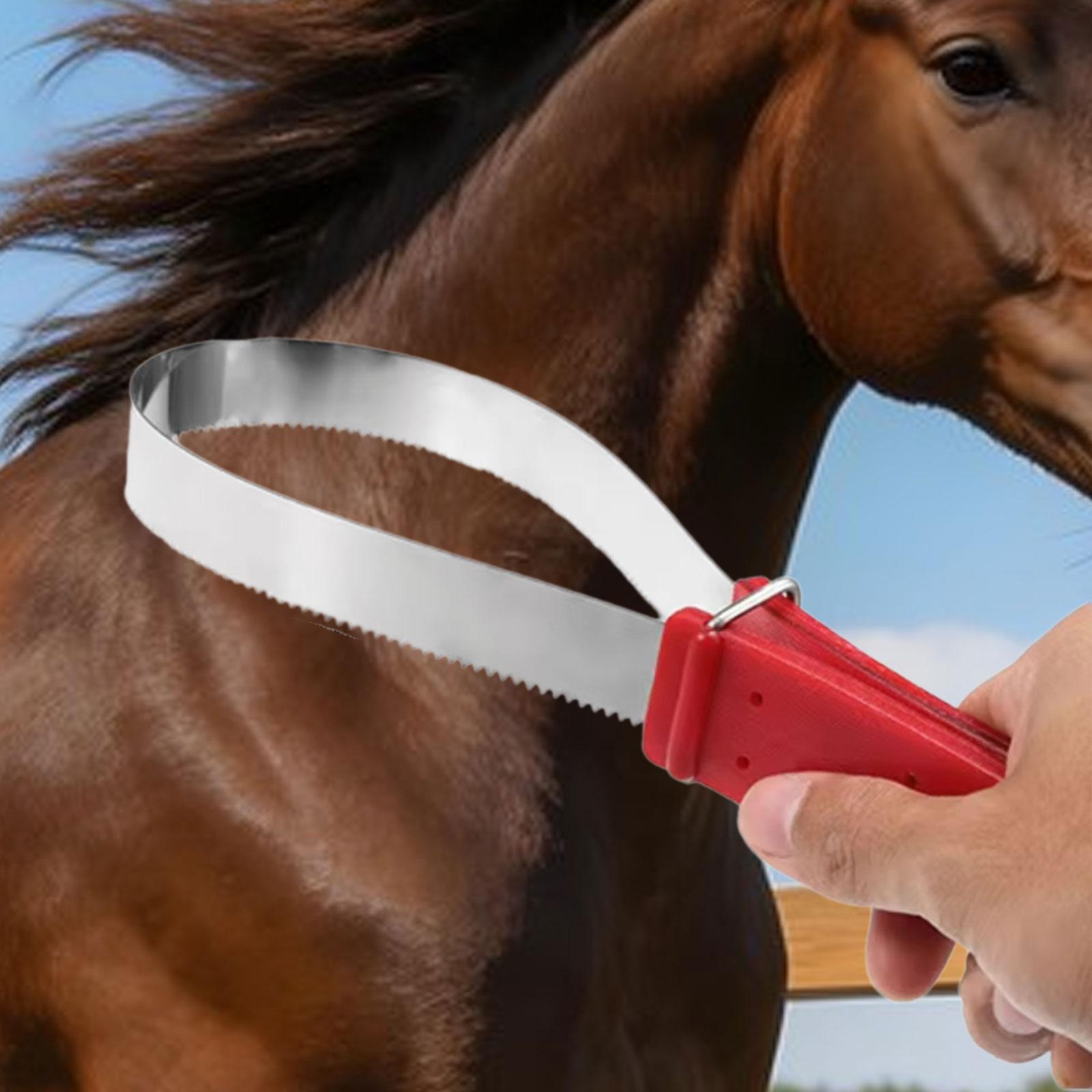 مشط عملي لتنظيف شعر الخيل ذو و - مراجعة Grooming Kit Horse وسعره