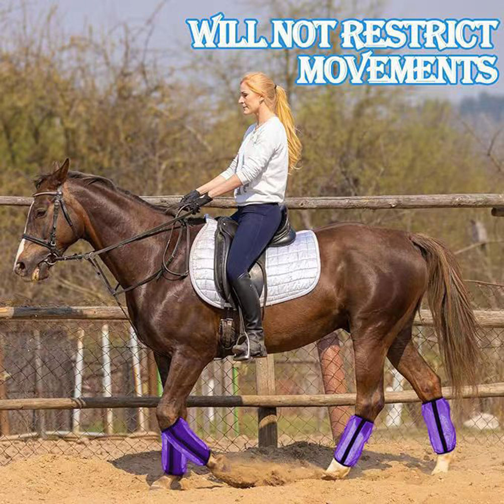 4 قطع أحذية شبكية واقية للخيول - مراجعة Brushing Boot Horse وسعره